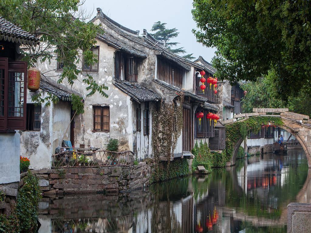 “种草”海南，米卡来了～